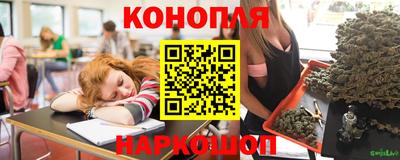 сатива Уссурийск