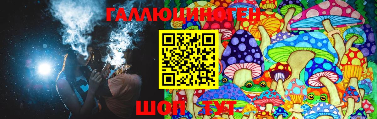 Галлюциногенные грибы MAGIC MUSHROOMS  Псилоцибиновые грибы прущие грибы  Вход с VPN  как найти   Новоалтайск 