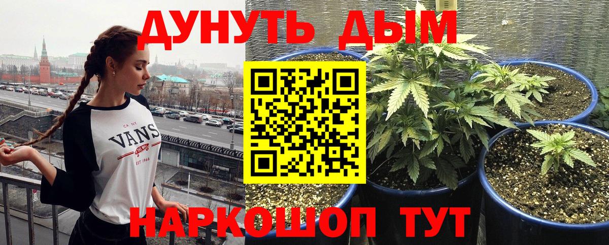 Новоалтайск  Бошки марихуана конопля  Конопля гибрид  Бошки Шишки план  Вход с VPN 
